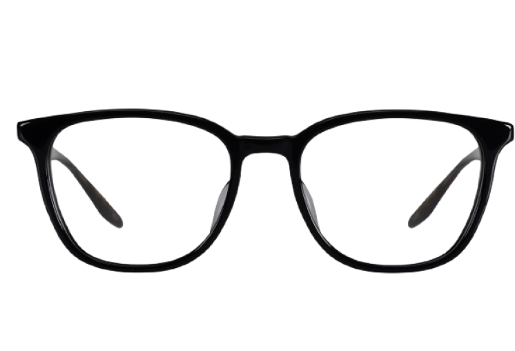 Shinichi Glasses