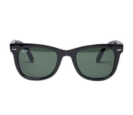 Wayfarer Sunglasses