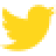 Twitter Icon